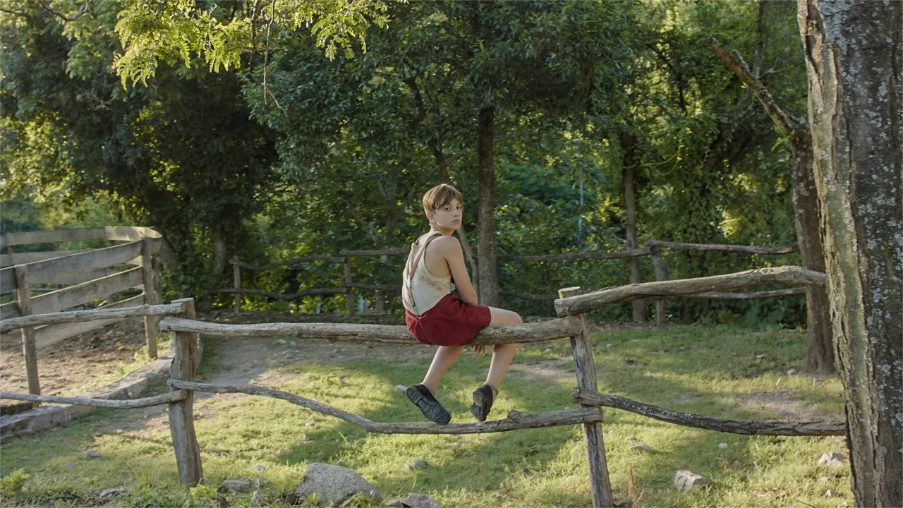 Lamb