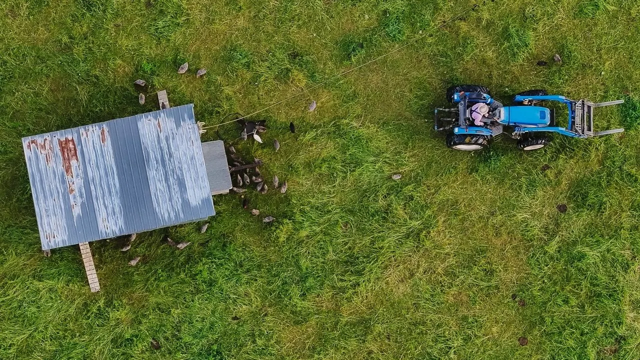 The Lunatic Farmer