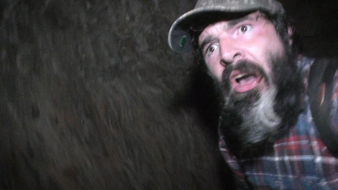 The Wilderness Tapes: Volume One