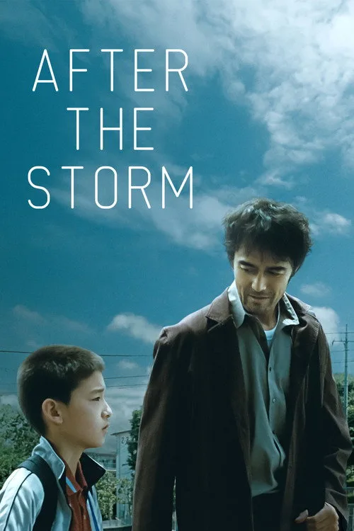 After the Storm poster