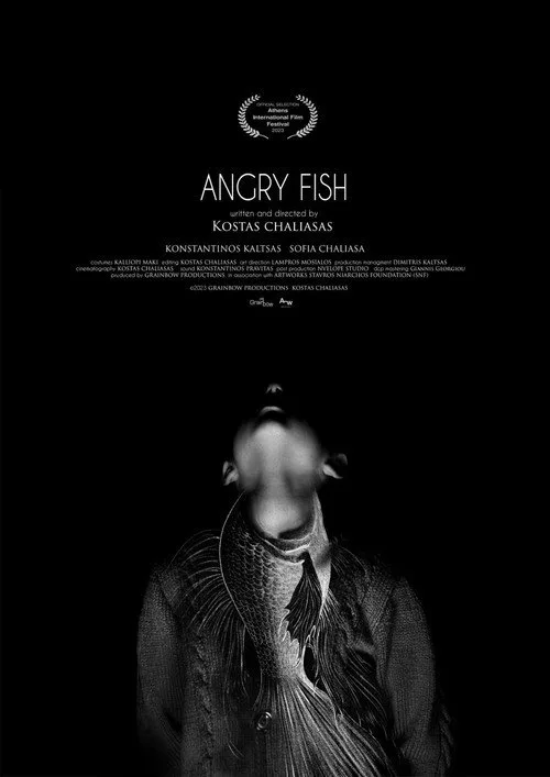 Angry Fish poster