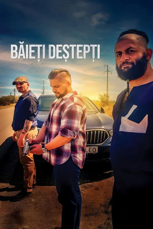 Băieți Deștepți poster