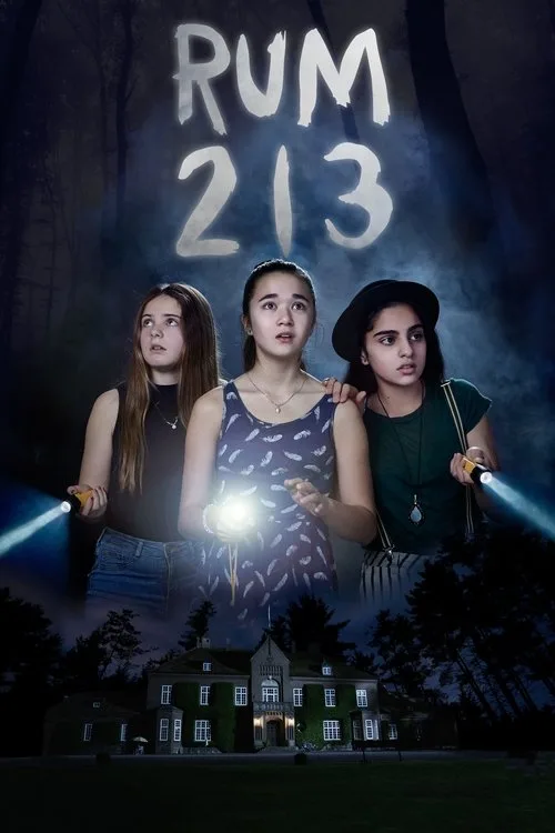 Rum 213 poster
