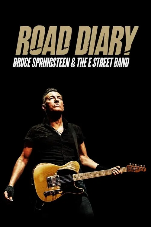The Diary poster