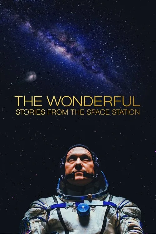 The Wonderful: Stories from the Space Station poster