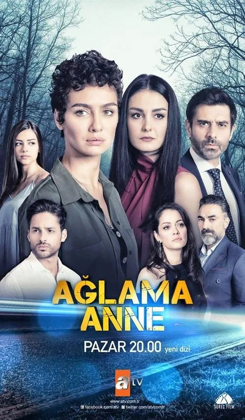 ANNE+ poster