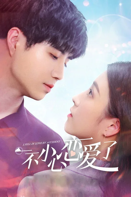 I Fell in Love By Accident poster