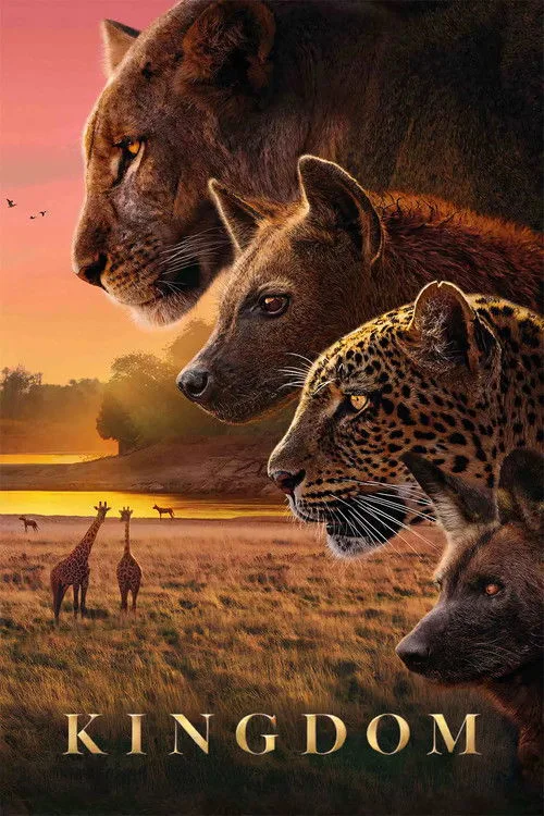 Kingdom poster