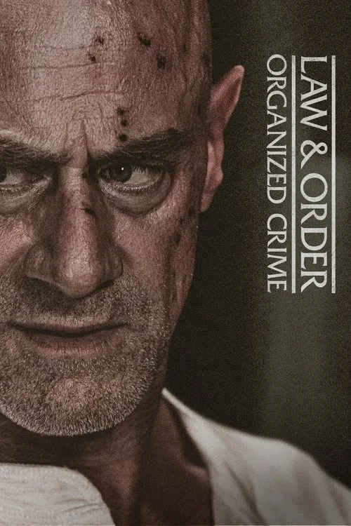 Law & Order: Organized Crime poster